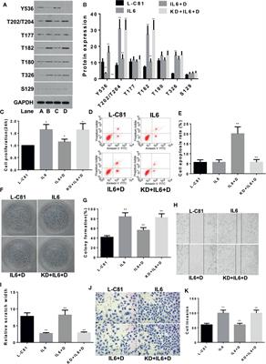 Dioscin Promotes Prostate Cancer Cell Apoptosis and Inhibits Cell Invasion by Increasing SHP1 Phosphorylation and Suppressing the Subsequent MAPK Signaling Pathway